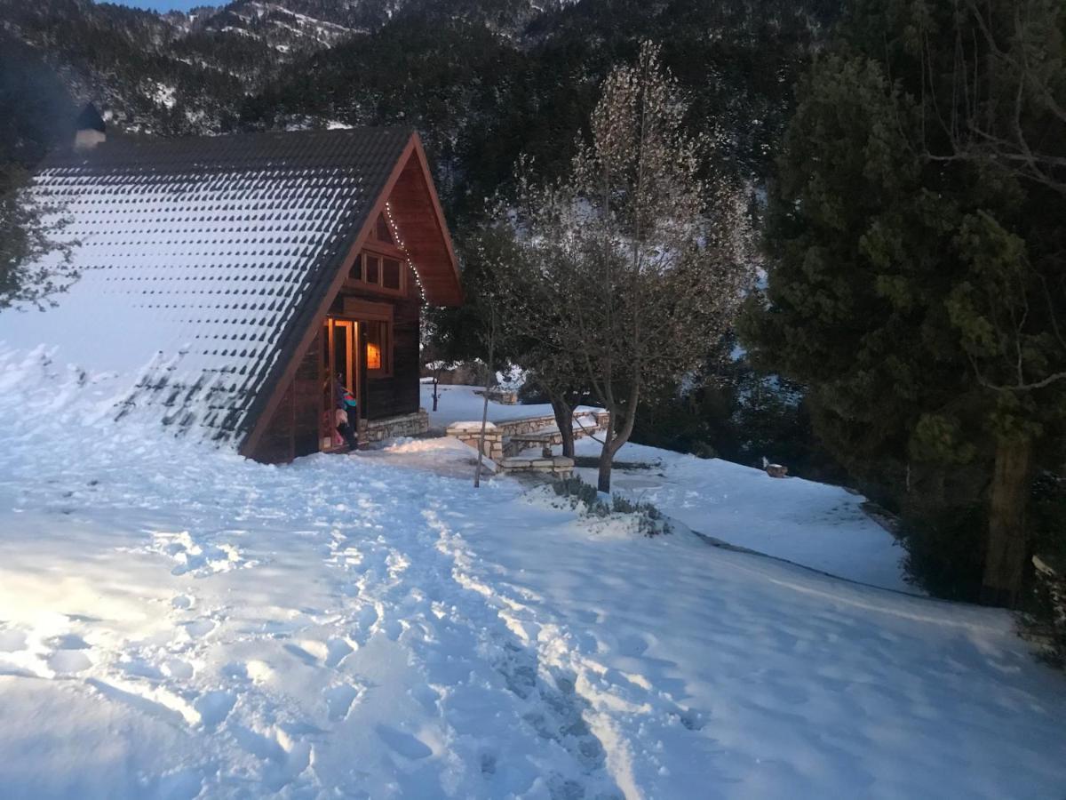 Chalet In The Forest Καλάβρυτα Εξωτερικό φωτογραφία