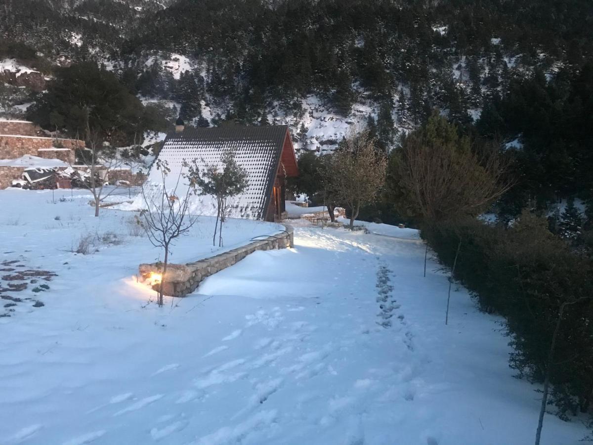 Chalet In The Forest Καλάβρυτα Εξωτερικό φωτογραφία