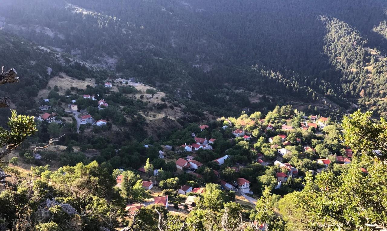 Chalet In The Forest Καλάβρυτα Εξωτερικό φωτογραφία