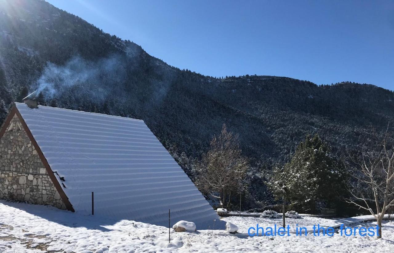 Chalet In The Forest Καλάβρυτα Εξωτερικό φωτογραφία