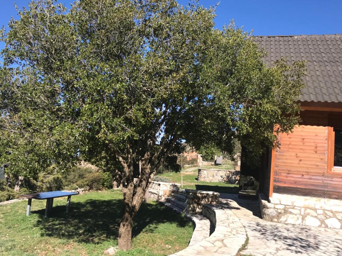Chalet In The Forest Καλάβρυτα Εξωτερικό φωτογραφία