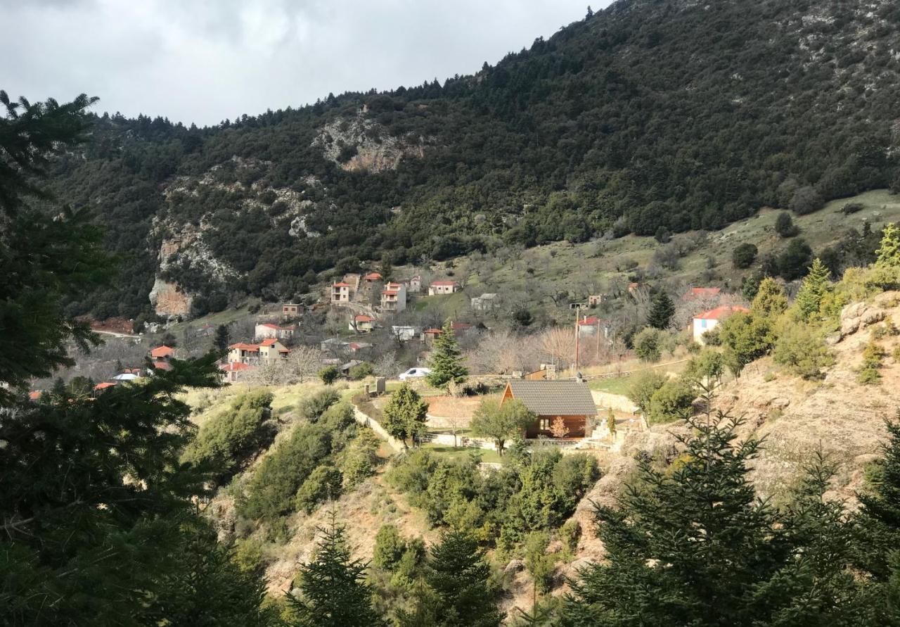 Chalet In The Forest Καλάβρυτα Εξωτερικό φωτογραφία