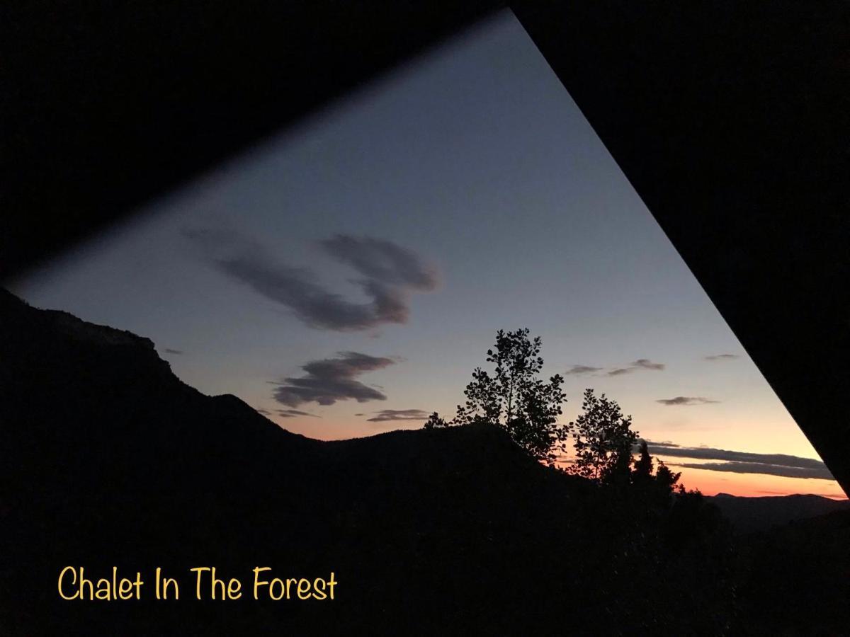 Chalet In The Forest Καλάβρυτα Εξωτερικό φωτογραφία