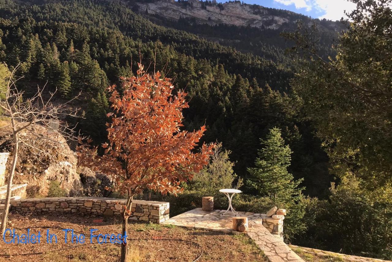 Chalet In The Forest Καλάβρυτα Εξωτερικό φωτογραφία