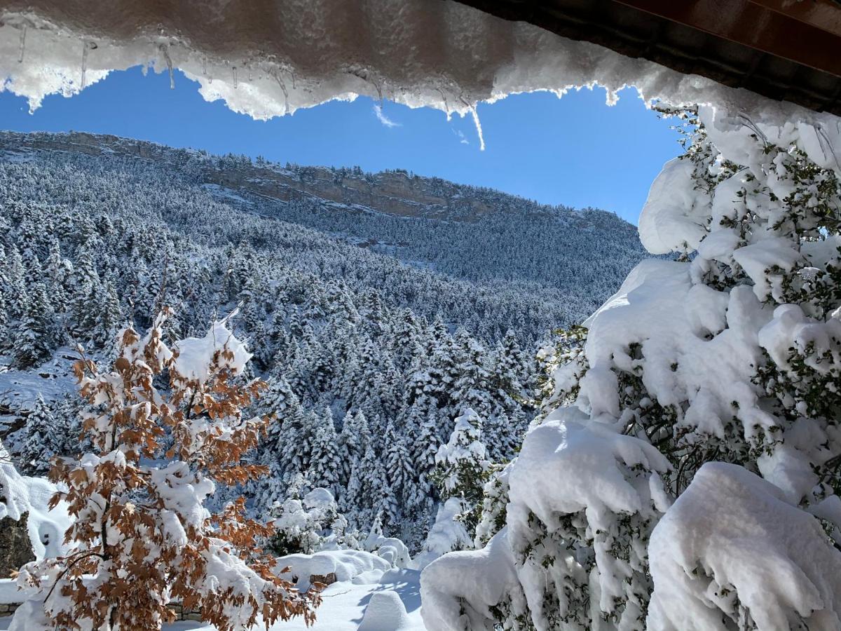 Chalet In The Forest Καλάβρυτα Εξωτερικό φωτογραφία
