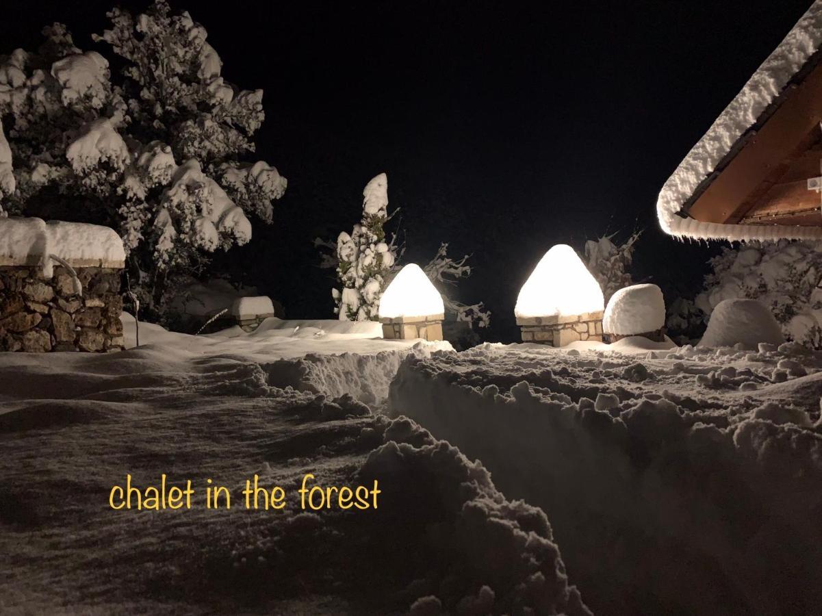 Chalet In The Forest Καλάβρυτα Εξωτερικό φωτογραφία