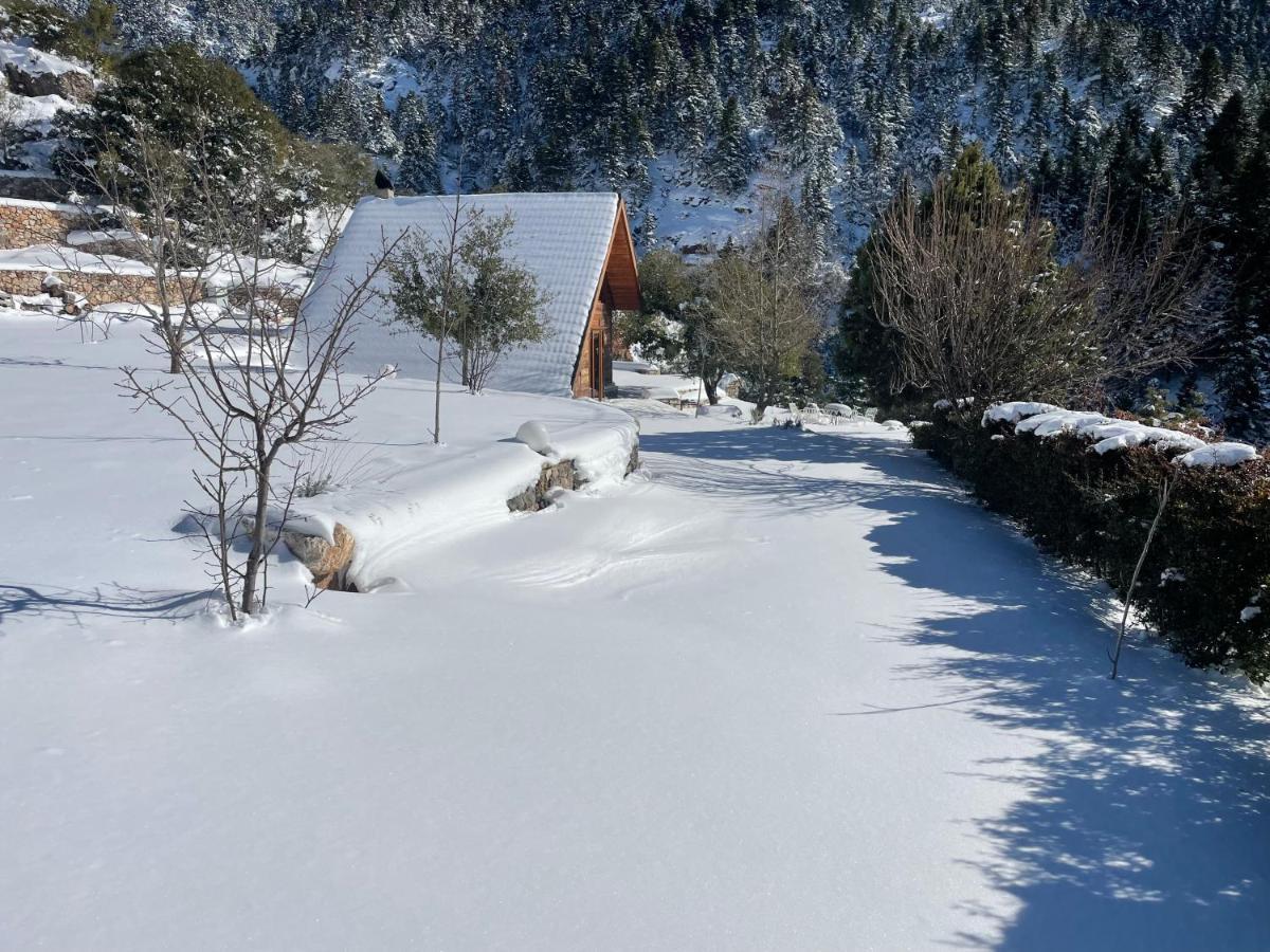 Chalet In The Forest Καλάβρυτα Εξωτερικό φωτογραφία