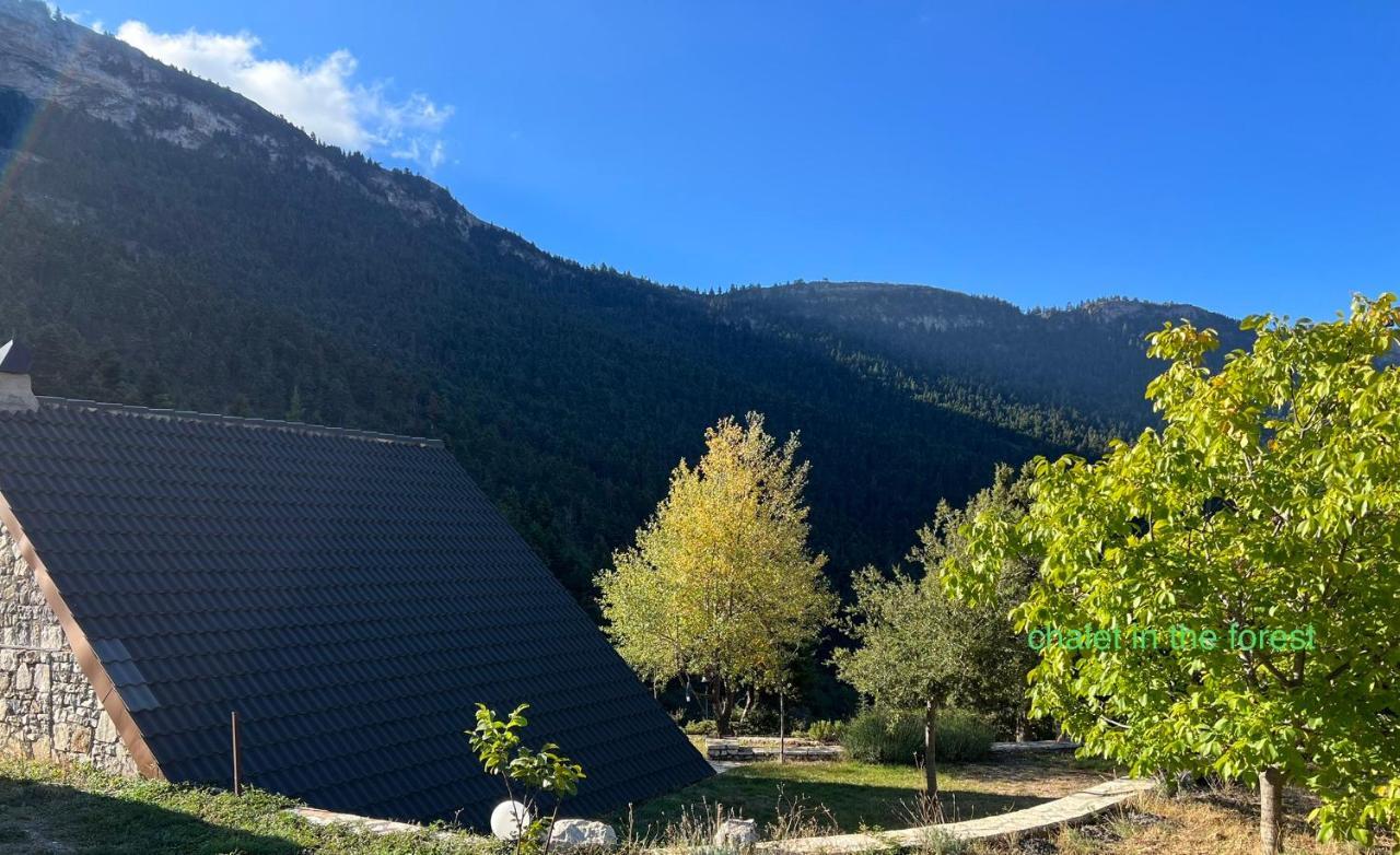Chalet In The Forest Καλάβρυτα Εξωτερικό φωτογραφία
