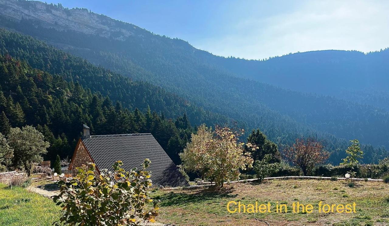 Chalet In The Forest Καλάβρυτα Εξωτερικό φωτογραφία