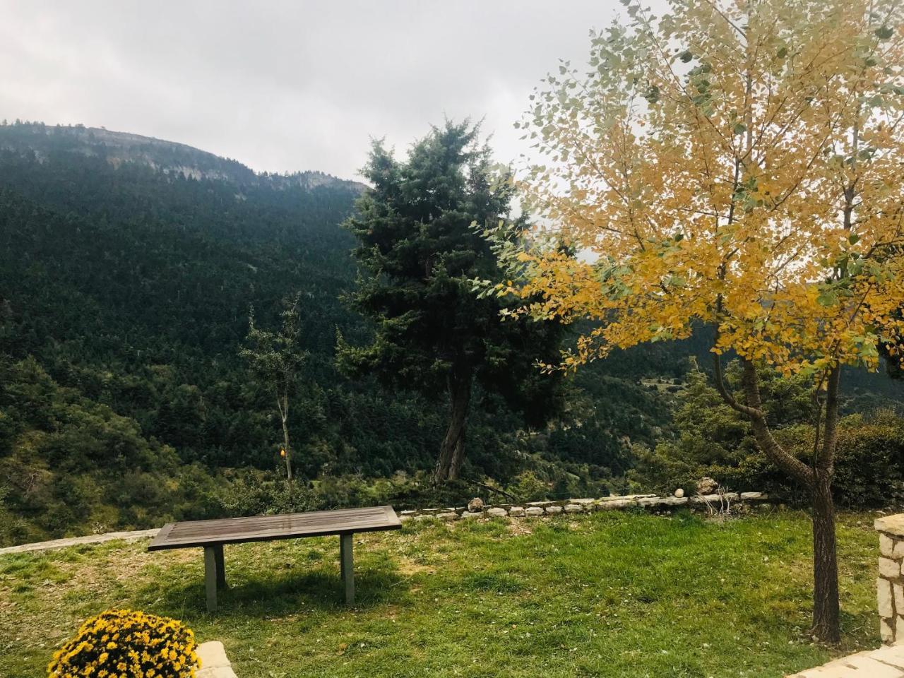 Chalet In The Forest Καλάβρυτα Εξωτερικό φωτογραφία