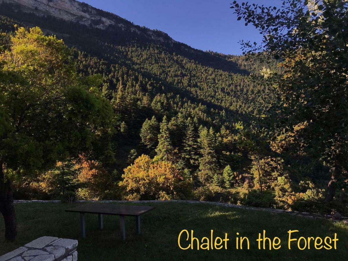 Chalet In The Forest Καλάβρυτα Εξωτερικό φωτογραφία