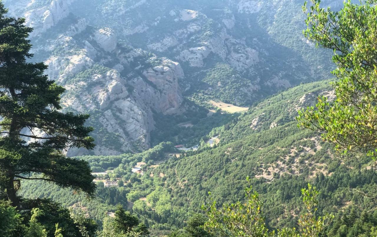 Chalet In The Forest Καλάβρυτα Εξωτερικό φωτογραφία