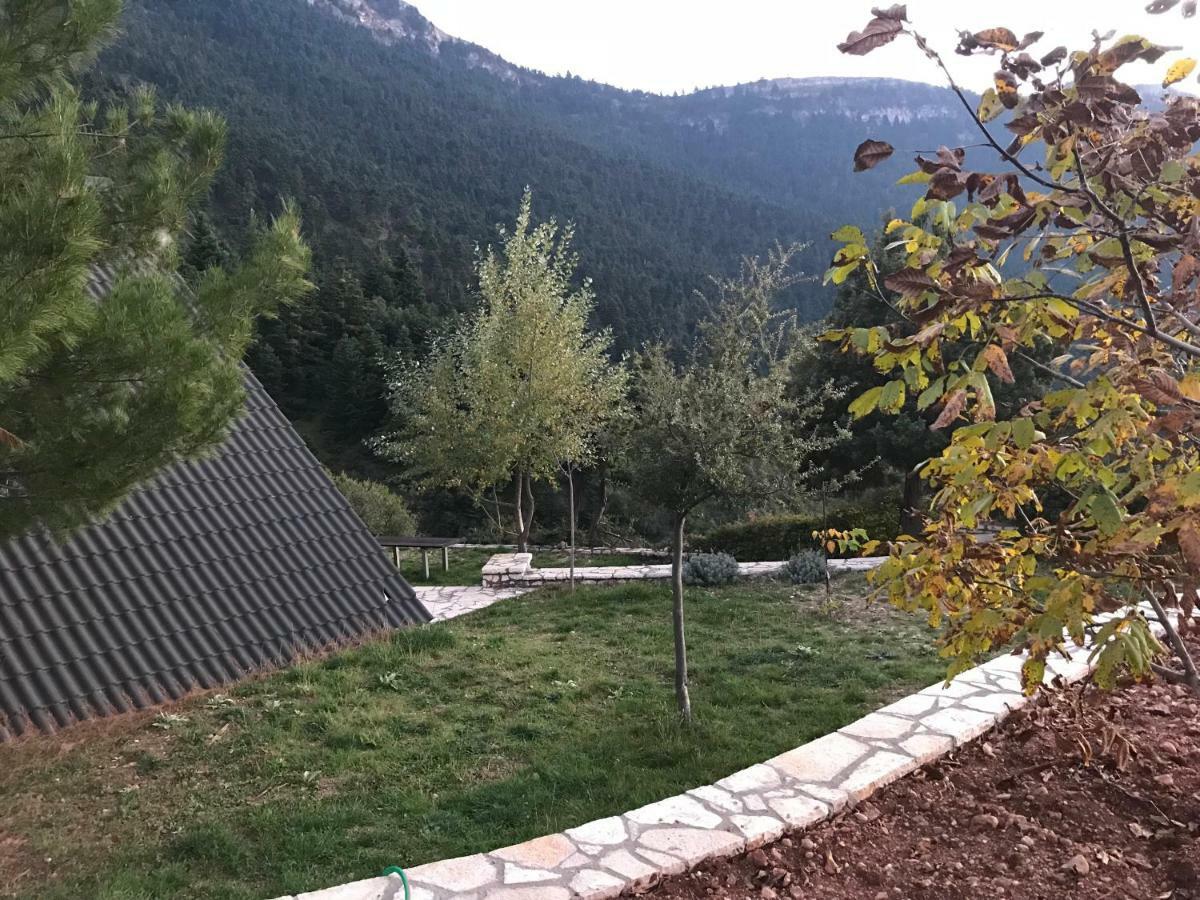 Chalet In The Forest Καλάβρυτα Εξωτερικό φωτογραφία