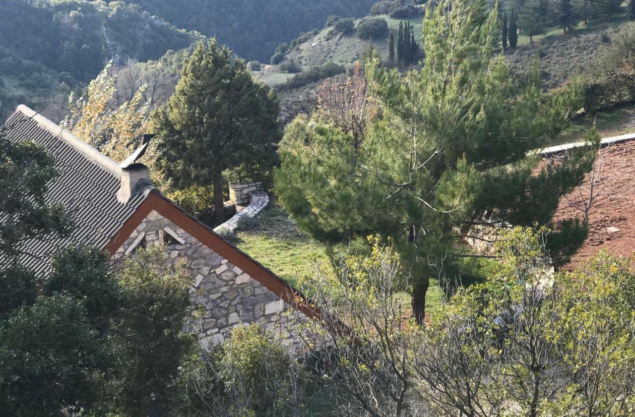 Chalet In The Forest Καλάβρυτα Εξωτερικό φωτογραφία