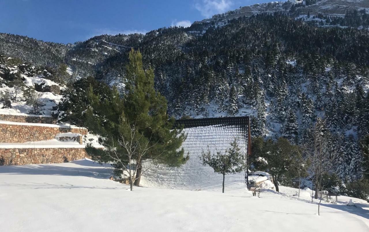 Chalet In The Forest Καλάβρυτα Εξωτερικό φωτογραφία