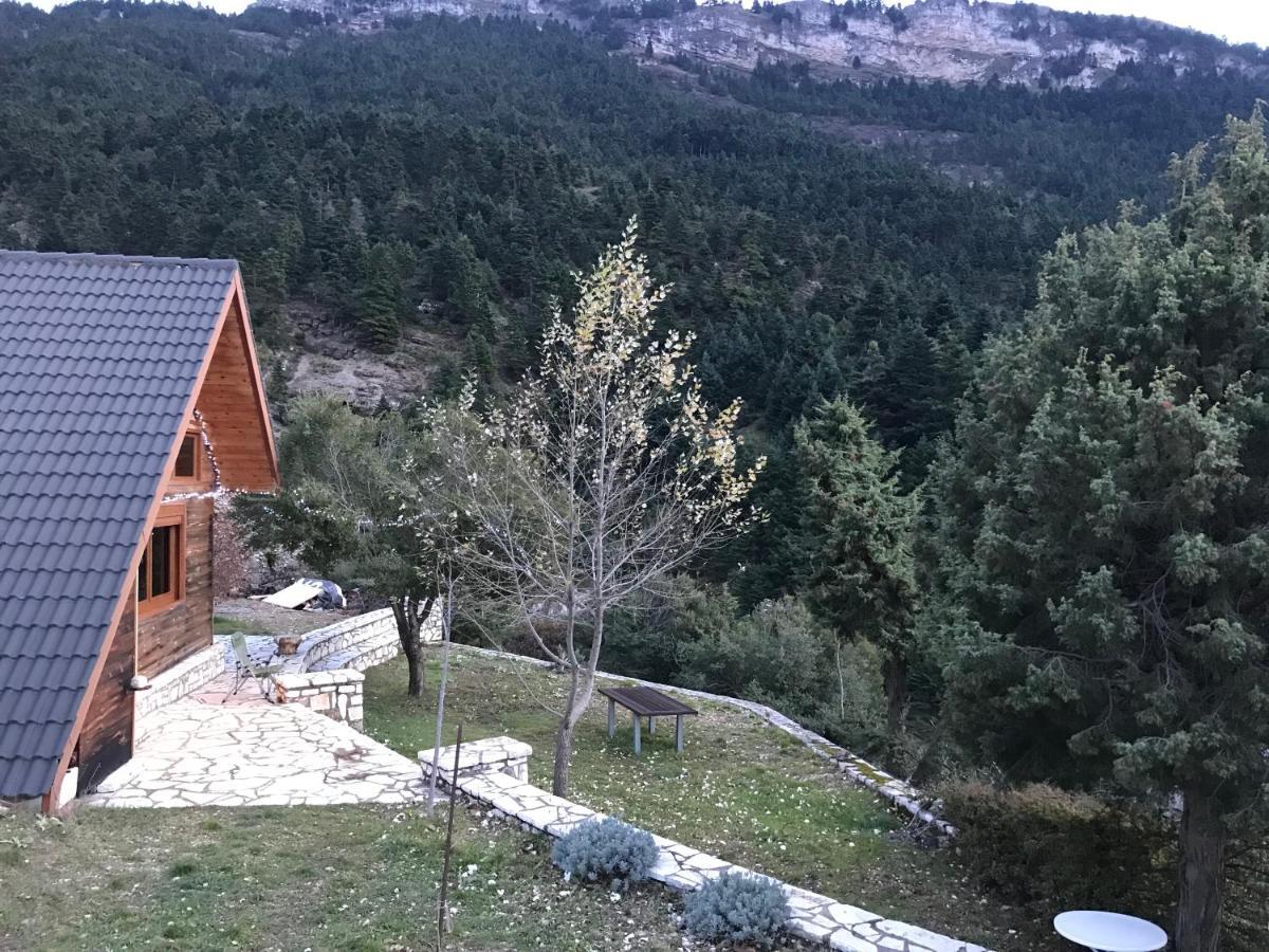 Chalet In The Forest Καλάβρυτα Εξωτερικό φωτογραφία