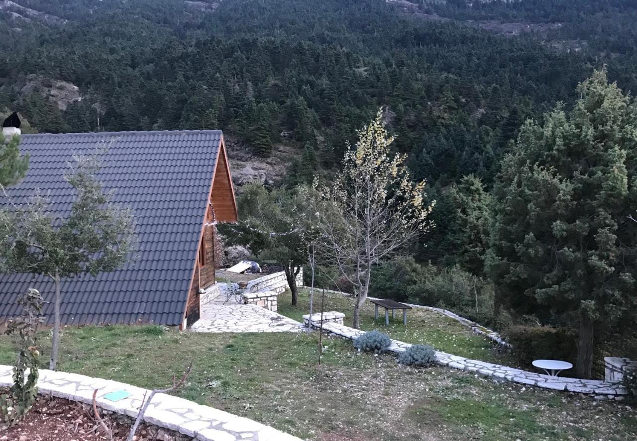 Chalet In The Forest Καλάβρυτα Εξωτερικό φωτογραφία