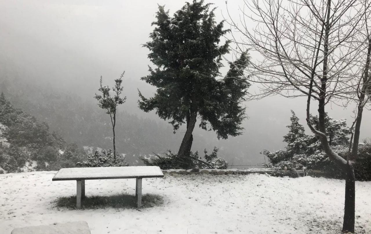 Chalet In The Forest Καλάβρυτα Εξωτερικό φωτογραφία