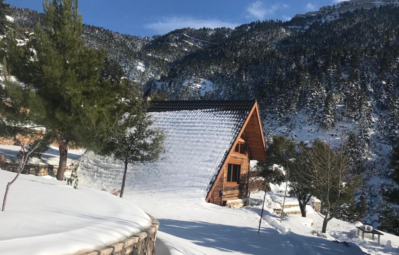 Chalet In The Forest Καλάβρυτα Εξωτερικό φωτογραφία