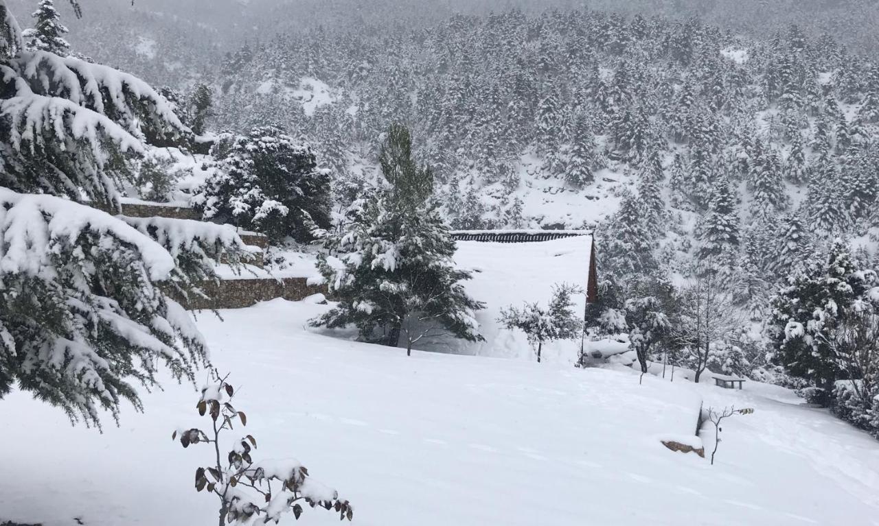 Chalet In The Forest Καλάβρυτα Εξωτερικό φωτογραφία