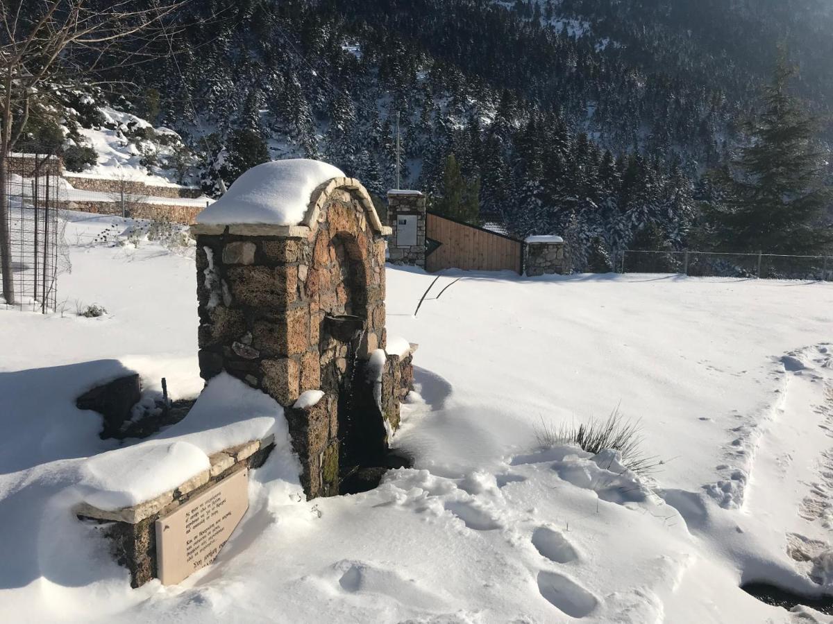Chalet In The Forest Καλάβρυτα Εξωτερικό φωτογραφία