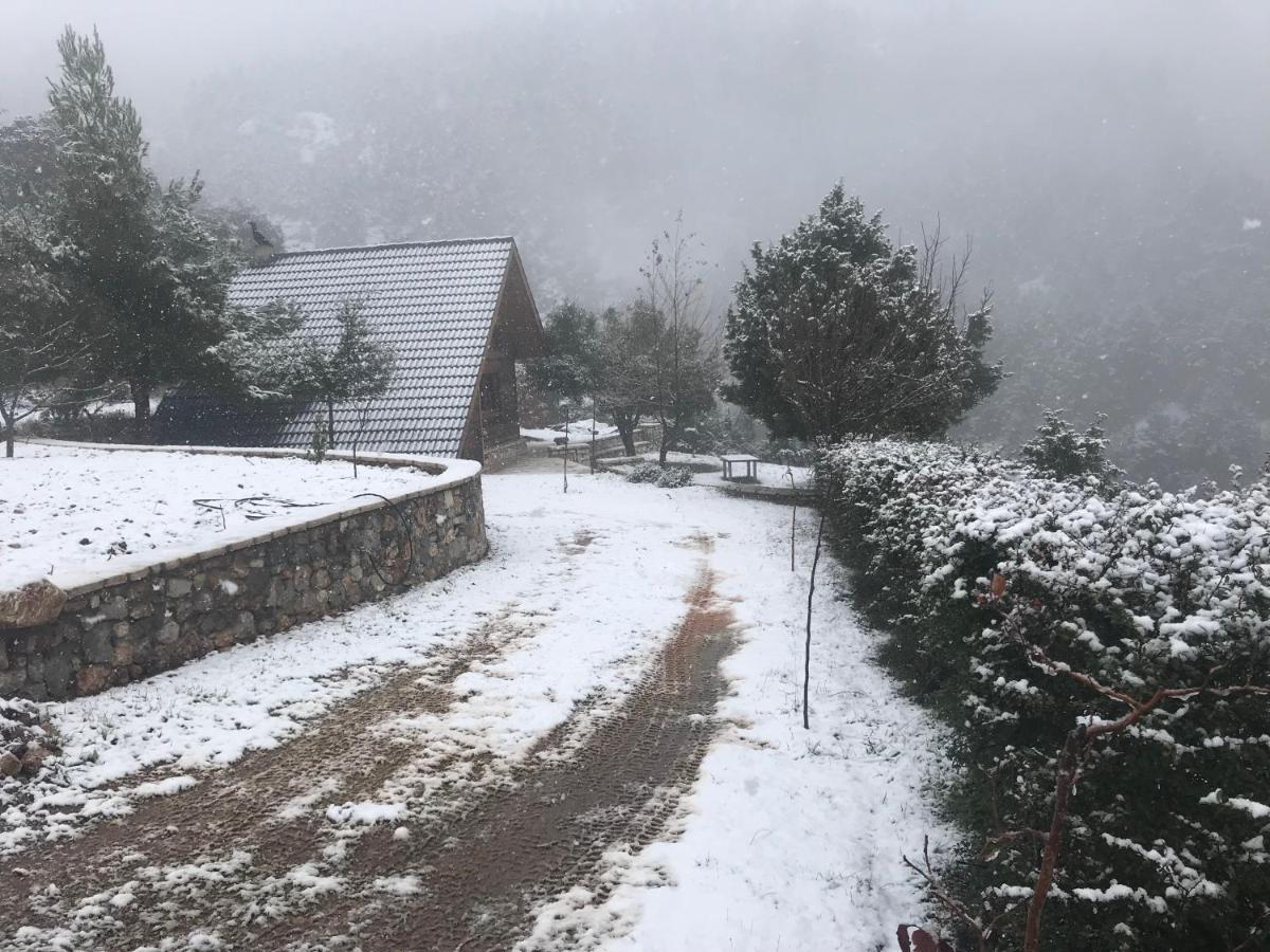 Chalet In The Forest Καλάβρυτα Εξωτερικό φωτογραφία