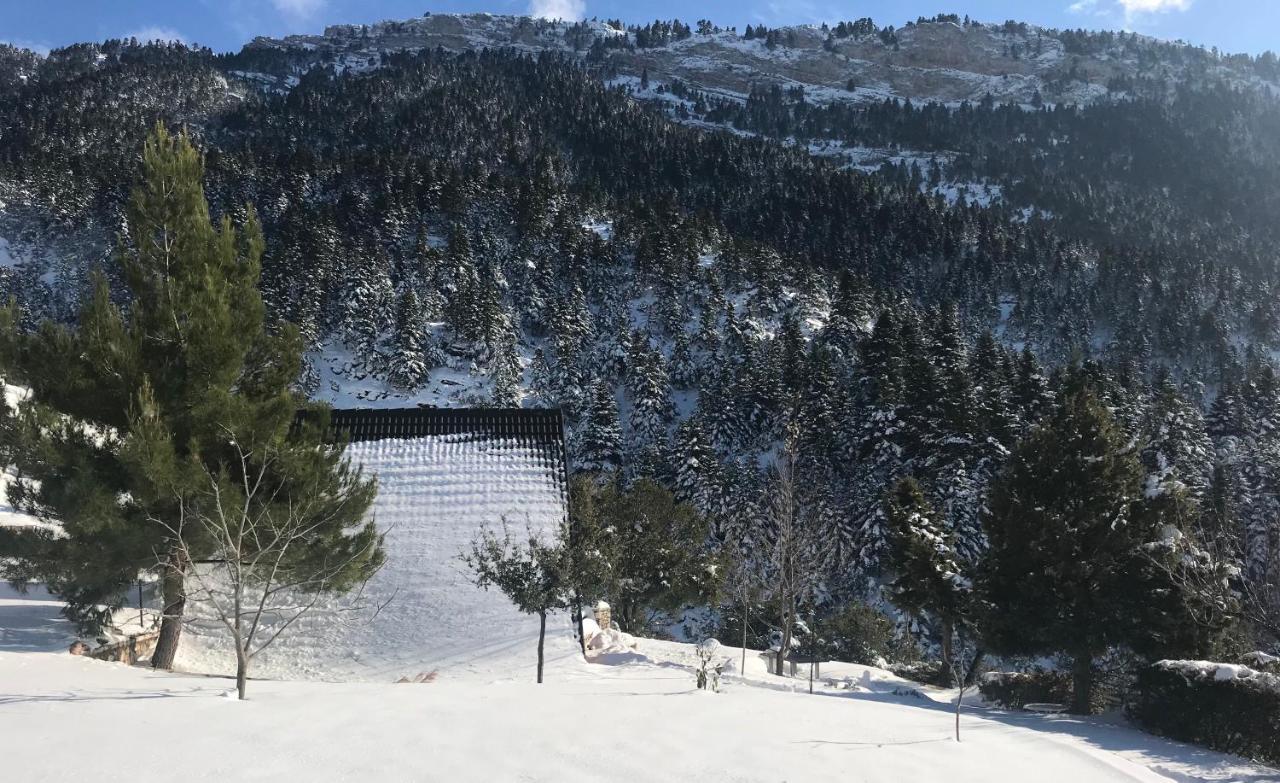 Chalet In The Forest Καλάβρυτα Εξωτερικό φωτογραφία