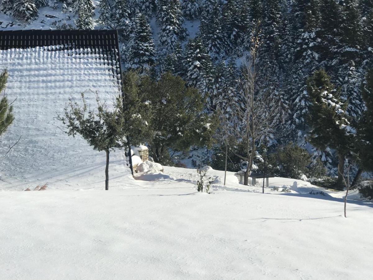 Chalet In The Forest Καλάβρυτα Εξωτερικό φωτογραφία