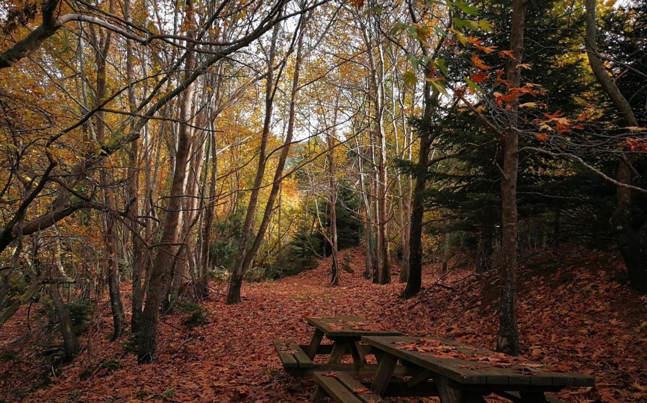 Chalet In The Forest Καλάβρυτα Εξωτερικό φωτογραφία
